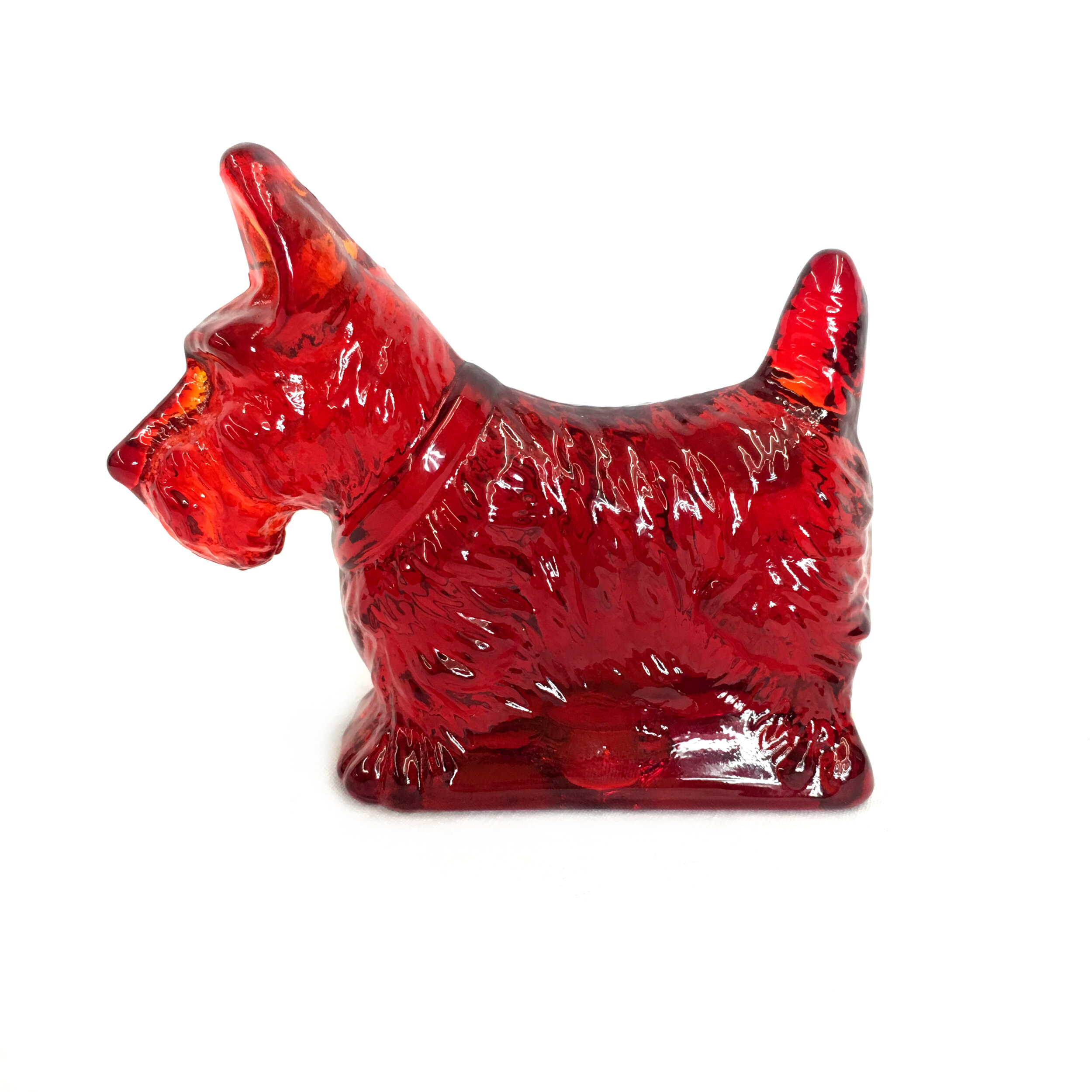 Scottie Ruby 2.JPG