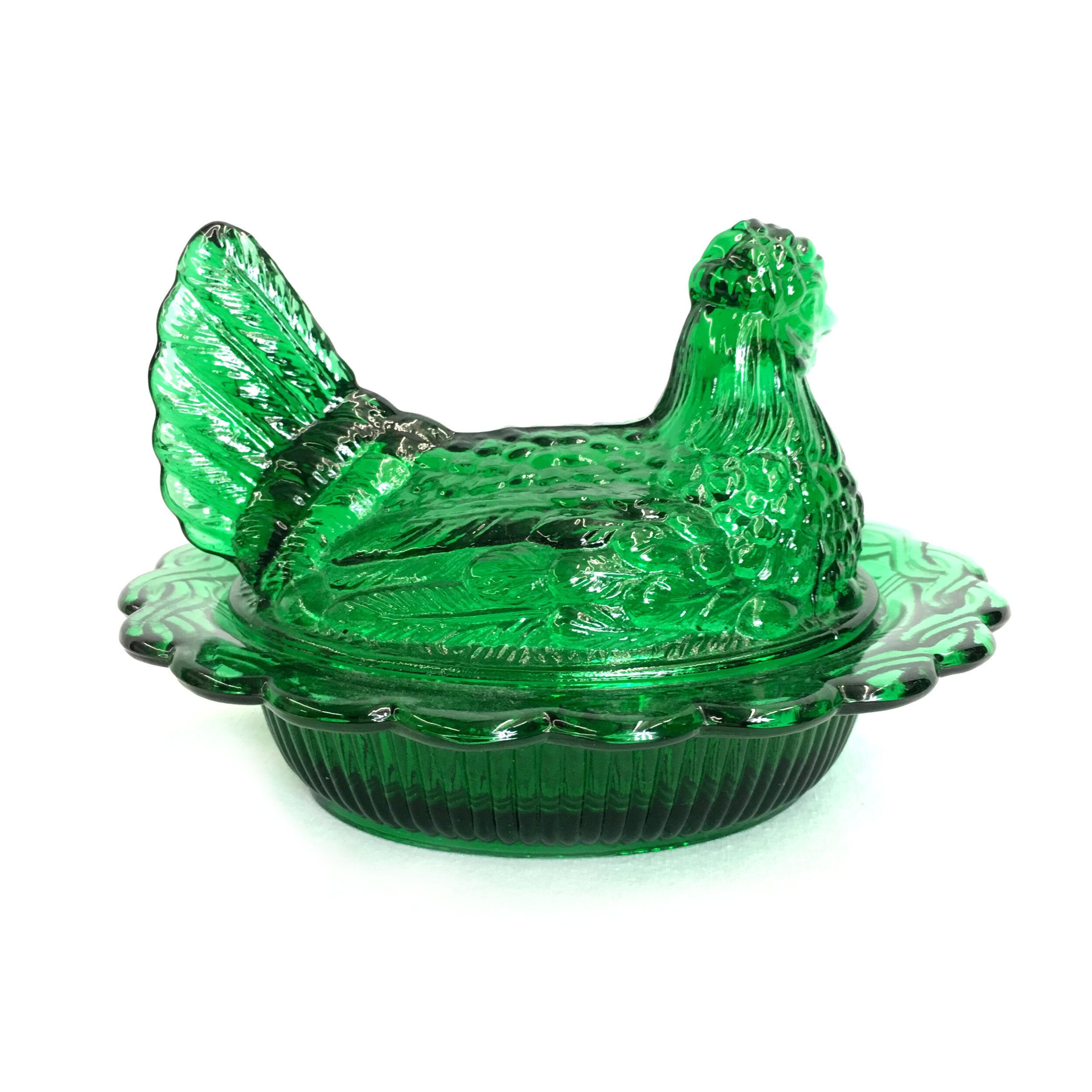Hen Evergreen 2.JPG