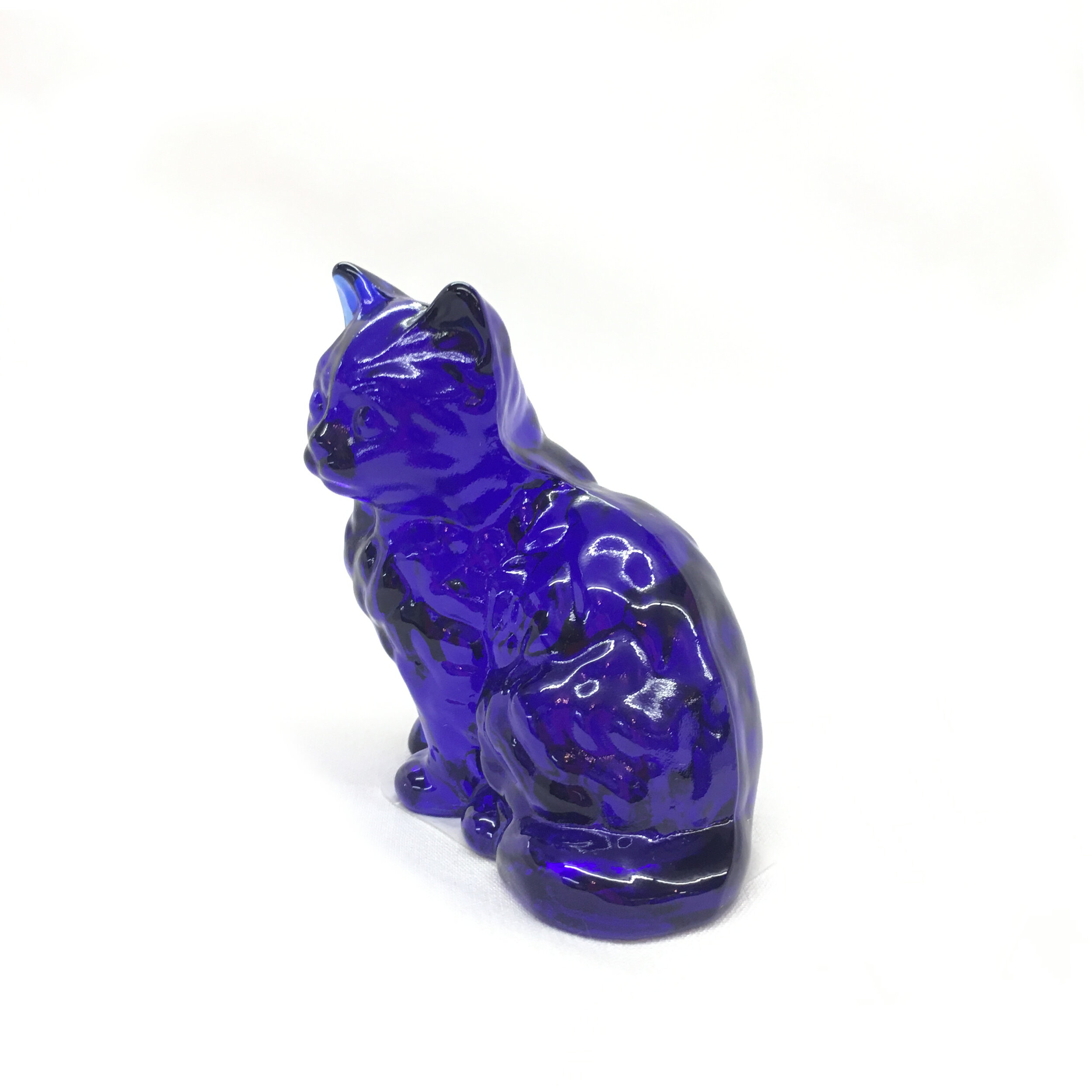 Kitty Cobalt 2.JPG