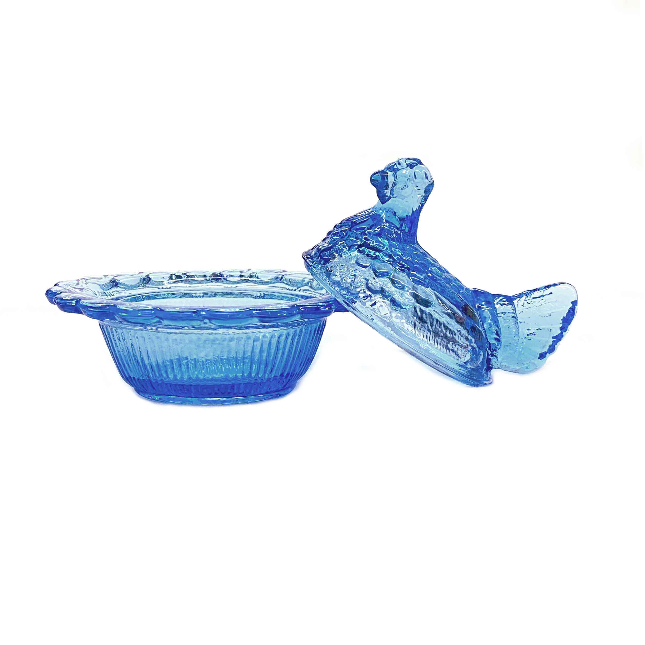 Chicken blue2.jpg