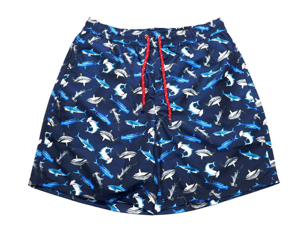 shark2.JPG